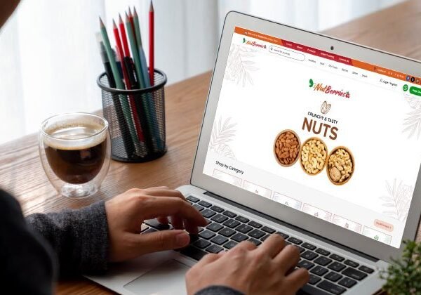 NutBerries - Nuts & Dry Fruits Store Website